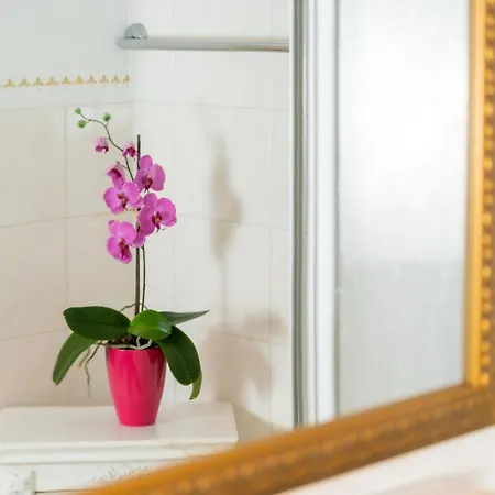 Apartment Daringer *