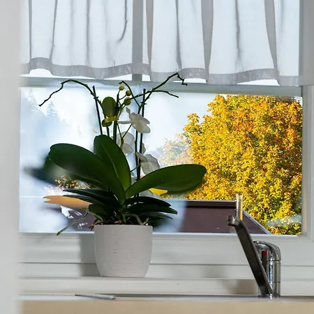 Apartment Daringer *