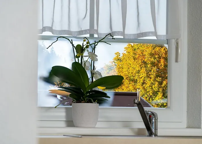 Apartament Daringer *