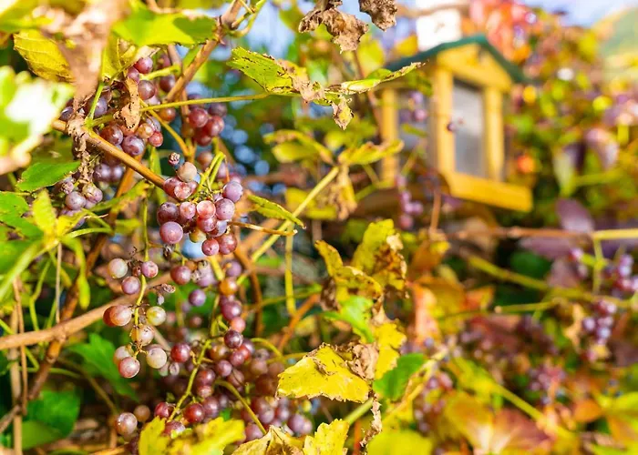 Apartament Daringer Mayrhofen