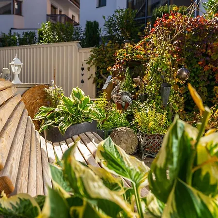 Daringer * Mayrhofen