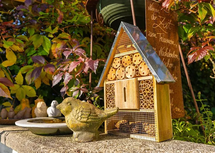 Daringer * Майргофен